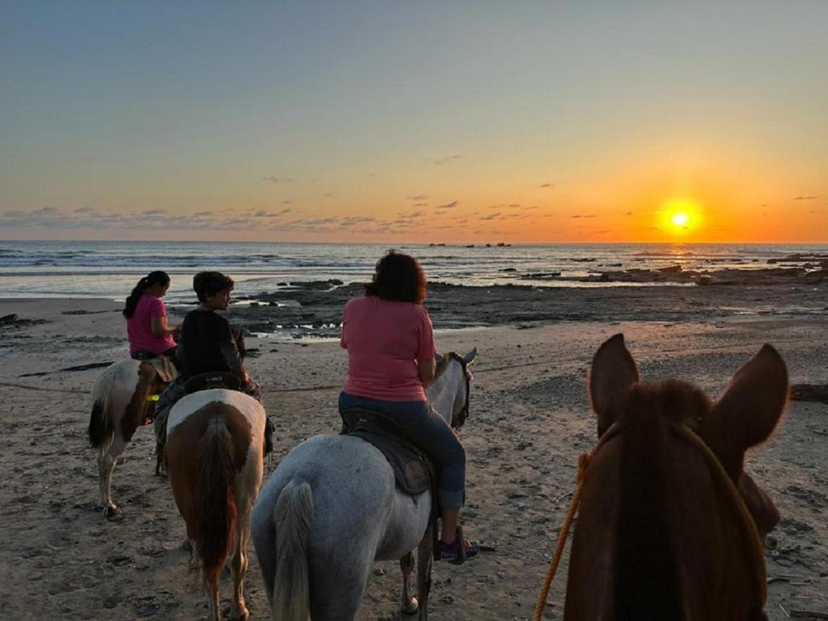 Casa Vitality Bed And Breakfast - Playa Guiones, Nosara - 4 Minute Walk To The Beach Buitenkant foto